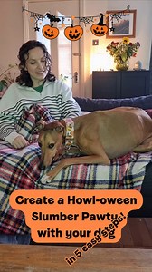 11K views · 107 reactions | We know Halloween can be a scary time for your doggie, so we have put together a little video with our 5 top tips for creating a slumber pawty for you and your dog, to reduce stress and create a retreat within your home  #Halloween #SlumberParty #mondaymotivation #toptips #doglover | Dogs Trust Ireland | Facebook