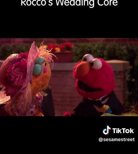 Rocco and Petra's Joyful Wedding on Sesame Street