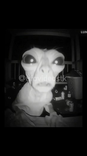 Mistery of the Unknown Creature: Alien or CGI?