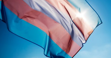 Trans Awareness Week | Equity, Diversity & Inclusion - UNSW Sydney