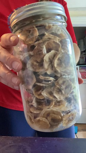 3.1K views · 55 reactions | Dehydrating is simple, versatile, and really inexpensive to get started! Here’s one of our favorite recipes for dehydrating #pantry #foodpreservation #dehydrator #Recipe #simple | Teal House Farm | Facebook