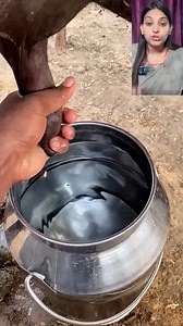 6.3M views · 69K reactions | दूध ऐसे दुहो #milke #viralreels #knowledge #facts #viralreelsfb #technology #foryou | Aashi Mehra | Facebook