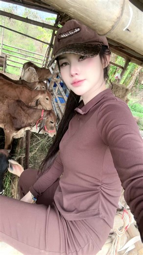 ใครสนใจวัวเลี้ยงหญ้า ขุนได้ติดต่อมาเลยค่ะ🐂#พิกัดลับเพชรบุรี