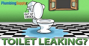 Leaky Toilet?