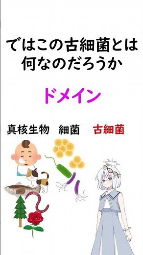 古細菌【１分生物学】