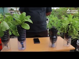 Simple Homemade Wick System Gardening