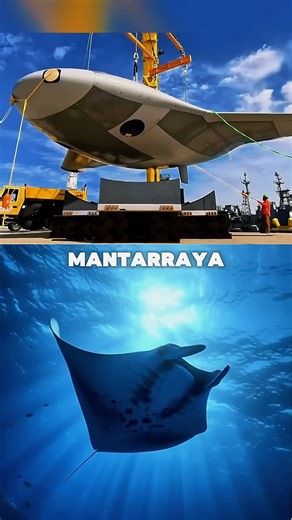 El Arma Submarina Secreta de Estados Unidos