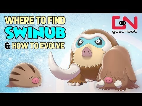 Where to find Swinub, Piloswine & How to Evolve Into Mamoswine - Pokemon Sword and Shield Evolution