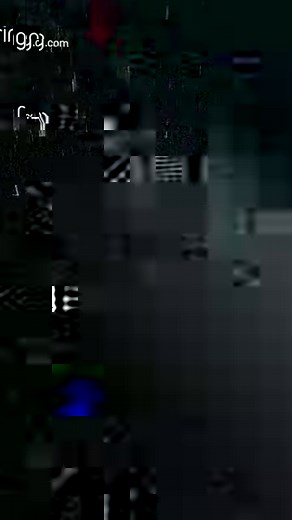 Even bears enjoy playing in the snow! ❄️ | Ring