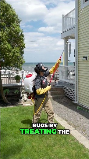 How to Stop Spider Infestations Without Freaking Out