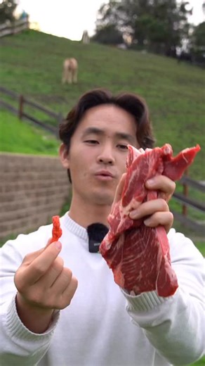 BUFFS on Instagram: "Honest question…would you eat this? 🤔 The snack aisle loves big promises. We built a product instead, the first-ever BEEF PUFF. Grass-fed beef. No seed oils. No lab-made junk. Just serious crunch. If “healthy” snacks stopped earning your trust, follow @eatbuffs and build this with us. #day1 #startup #cheeto #noseedoils #protein"