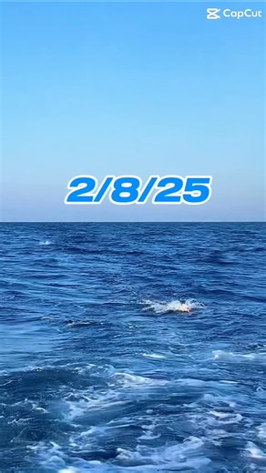 Blackjack Fishing Charter on Instagram: "Throwback to this week; last year! Still don’t have a Valentine’s Day gift? Let’s hit the water! Blackjackfishing.com"