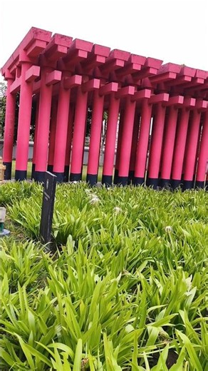 Zen Escape: Beautiful Japanese Torii Gate Garden & Bird Sounds ⛩️🌿 | #Shorts
