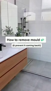 How to remove mould. Removing mould is a crucial aspect of...