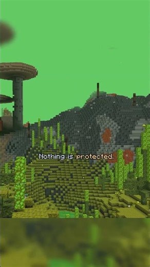 Would you enter this dimension? #minecraft #smp