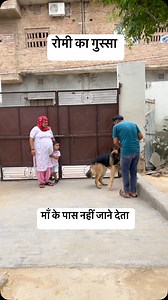 8.6K reactions · 24 comments | German shepherd safe child and mother  #trendingreels #viral #dog #doglover #germanshepherd #trending #lovedogs #dogsofinstagram #doglife #dognails | Dev Godara | Facebook