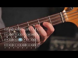 How to Play G ♯ / A Flat Minor Scale | Bass Guitar