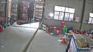 Man falls while unloading goods from truck in Shandong, China