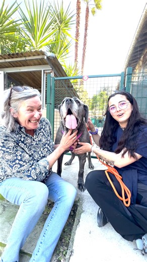 Cette vidéo vous fera passer une belle journée 🐾❤ Idylle, la doyenne de notre Refuge de Carros - Fondation Assistance aux Animaux a été adoptée ce week-end ! La Fondation Assistance Aux Animaux tient à remercier cette dame au grand cœur. | Fondation Assistance Aux Animaux