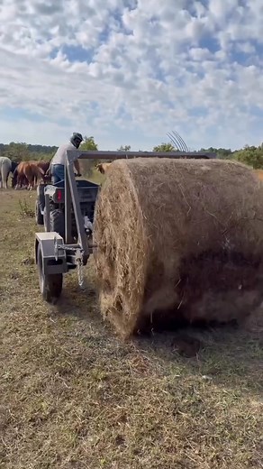 Meet the Bale Buggy: your new go-to round bale unroller trailer #trailer #welding #weld #fyp #reels #kit | Tick Creak Ranch