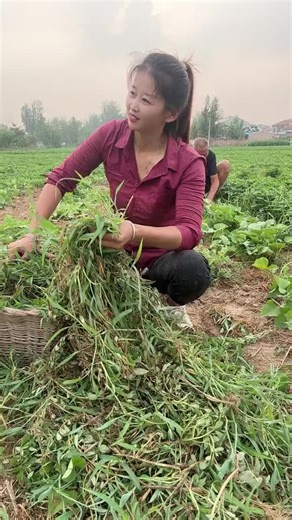 Please don't under review again request 😭😭😭 @TiktokPakistanOfficial #Shirt #China #Unfreezaccount 😰😰😰 #Newpepsihitmelik #viewsproblem 😰😰😰 don't under review 😭😭😭