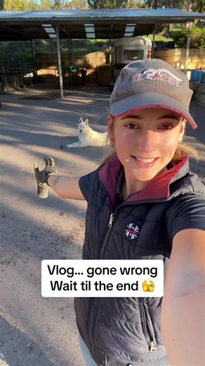 Equine Industries AUS on TikTok