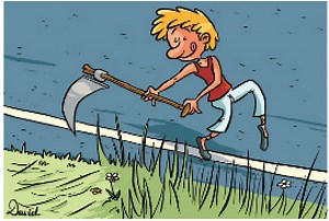 Le fauchage raisonne entre les équilibres