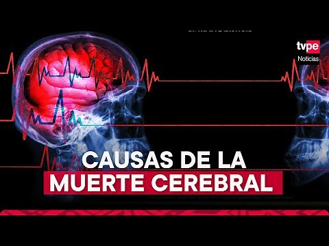 MUERTE CEREBRAL: ¿Cómo y por qué sucede?