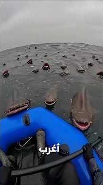 The 10 Most Bizarre Creatures Living in Earth's Terrifying Places