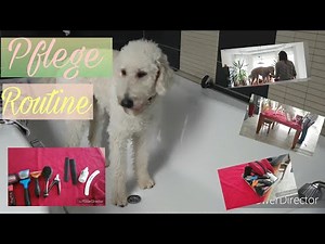 Lunas Fellpflege Routine🚿
