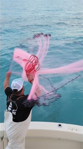 Cast netting bait for deep sea fishing
