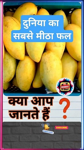 Carabao Mango: The Sweetest Fruit on Earth Grown in the Philippines