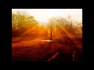 Bob Dylan with Mick Taylor, live from Paris 1984. " Every grain of sand "