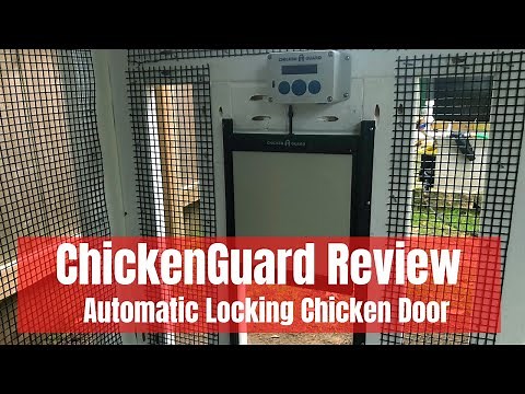 ChickenGuard Review - Automatic Locking Chicken Door