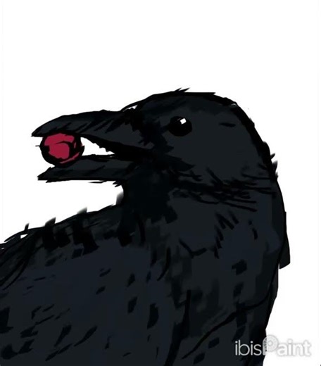 Drawing a crow #speedpaint #ibispaint #tiktok