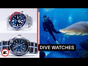 5 Best Dive Watches Worth the Investment *$500-$12,000* | Dialed In | Esquire