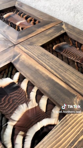 All Feathers Taxidermy on TikTok