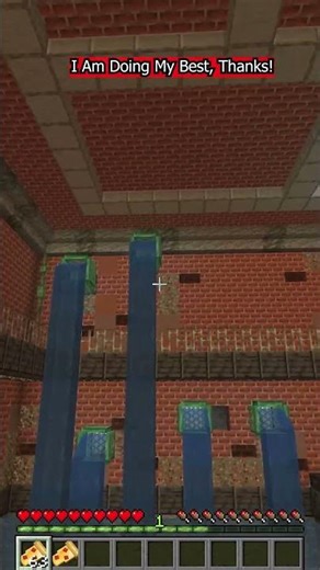 Having So Much Fun with This Mini Game From Hermtcraft Map