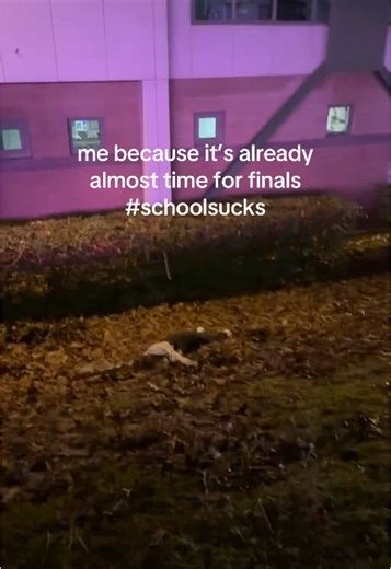 give me your best study tips PLEASE. (nobody was harmed in this video) #school #university #fyp #relatable