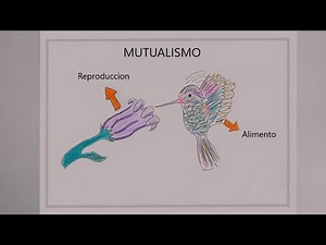 Mutualismo bilogía