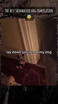 ☠️Skin Walker Dogs Compilation☠️ #thefearcurrent #skinwalker #navajo #mystery