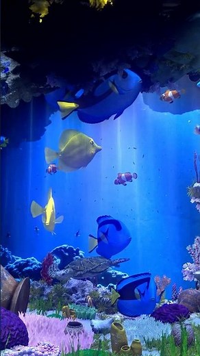 Virtual Aquarium. The world of Finding Nemo（Clownfish）! | Behind Glass: Aquarium Simulator #shorts