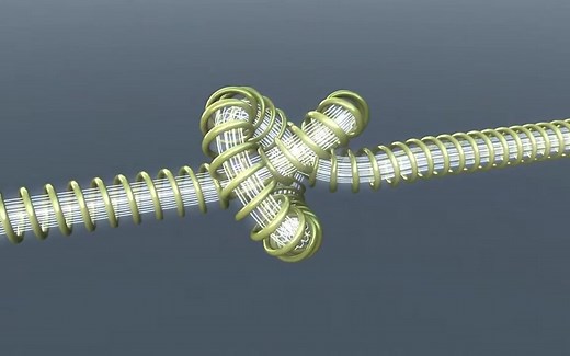 A Dirac String 2013狄拉克弦