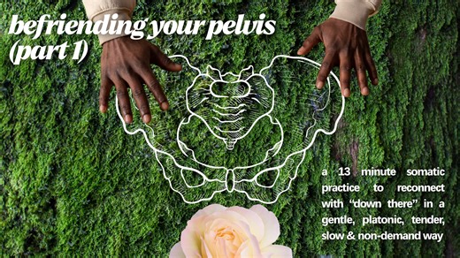 befriending your pelvis (part 1)