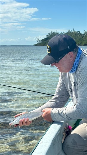What a difference a week makes. Last week I was enjoying 28C (82F) temperatures chasing bonefish, tarpon, permit and snook at @xcalakflyfishinglodge with my guide @fly_fishing_jose_xcalak. Today I shovelled the drive and took my dog for her daily run in balmy 1C (33F)conditions. Tomorrow more snow is predicted and with a high of -12C (10F). #flyfishing #contrast #xcalakflyfishing #saltwaterflyfishing #bonefish #snook #tarpon #pemitonthefly #pesca | Phil Rowley Fly Fishing