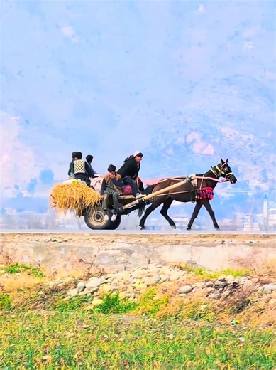 #creatorsearchinsights #kalewal #googlepixel #beautifulview #tanga