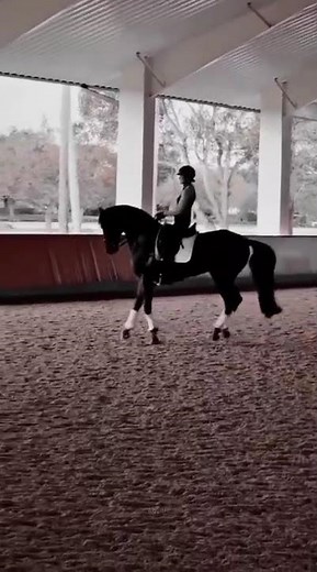 I can't believe this horse is actually dancing! 🤯🐎 #shorts #funnyanimals