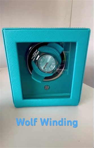 This Color Match Is So Satisfying 😍 | Wolf Winder + Citizen Tsuyosa