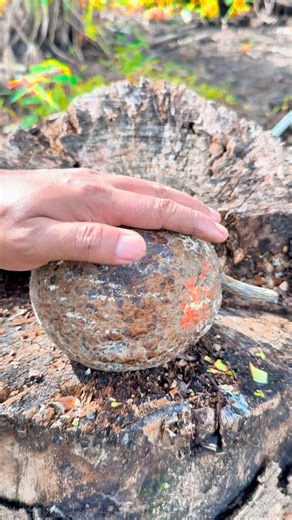 Hosea Masius on Instagram: "Buah es cream"