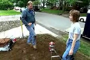 How To Plant Ground Cover